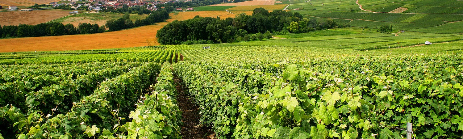 Hilton Moorea Lagoon Resort & Spa