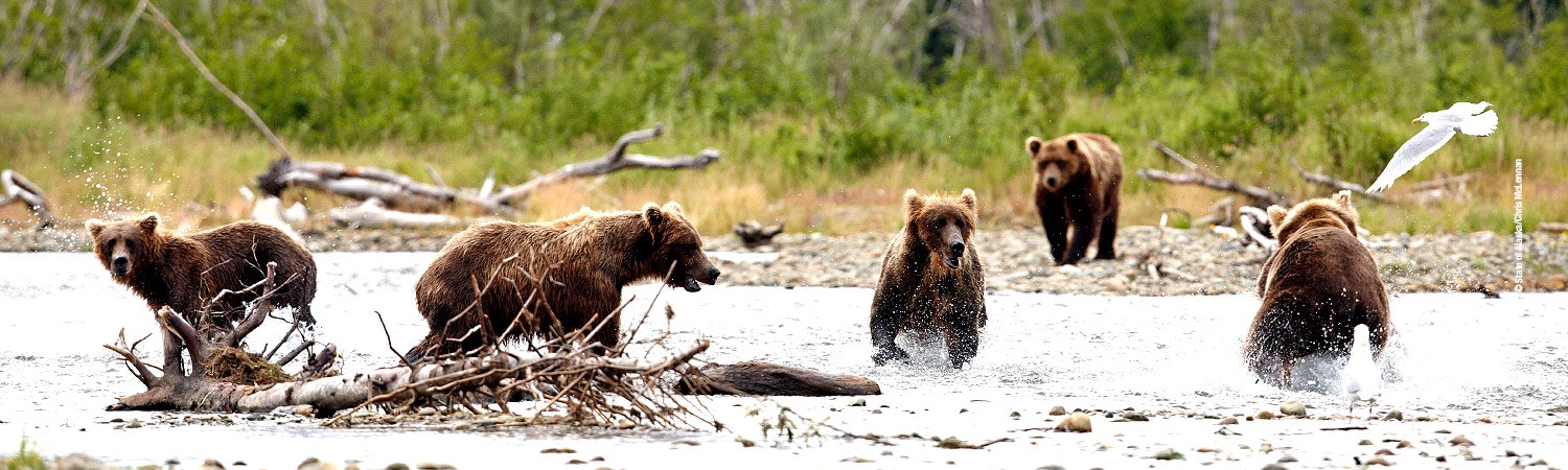 Hilton Moorea Lagoon Resort & Spa