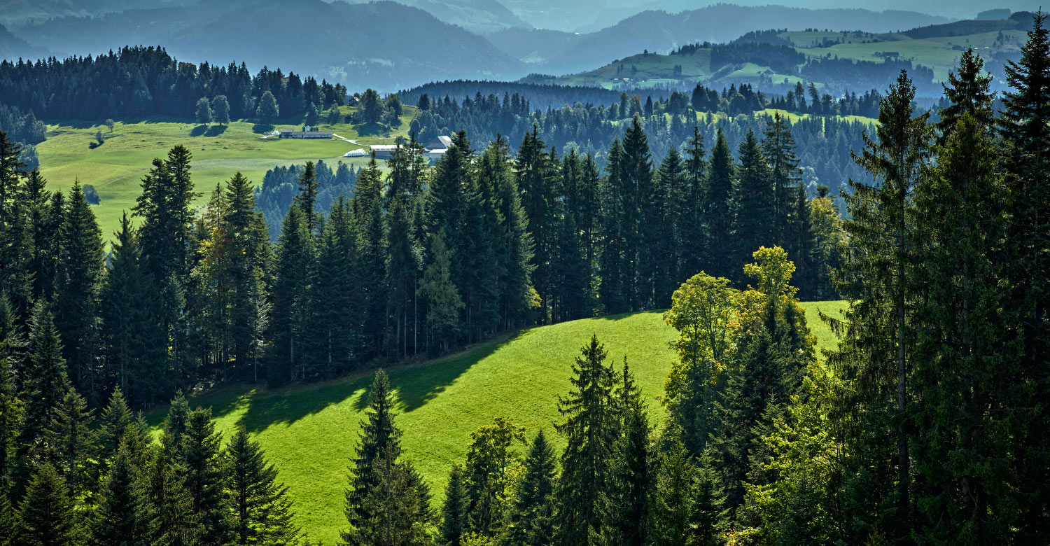The lush green landscape of Emmental Valley.