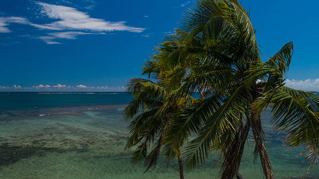 Faleolo International Airport → Saletoga Sands Resort & Spa