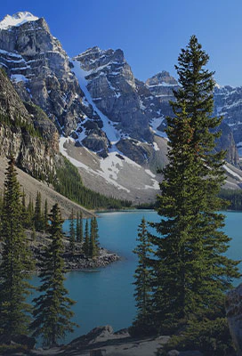 Vast, Untamed Nature