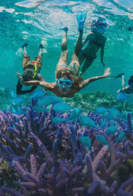New Caledonia Travel Tips