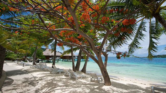 Maitai Polynesia Bora Bora → Maitai Express Tahiti