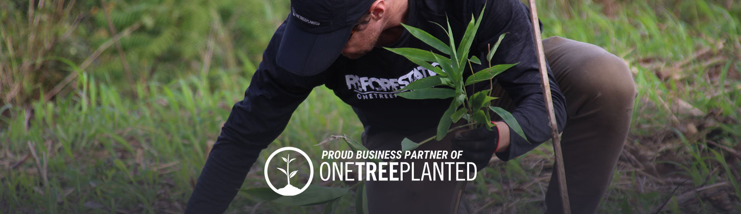 Hilton Moorea Lagoon Resort & Spa