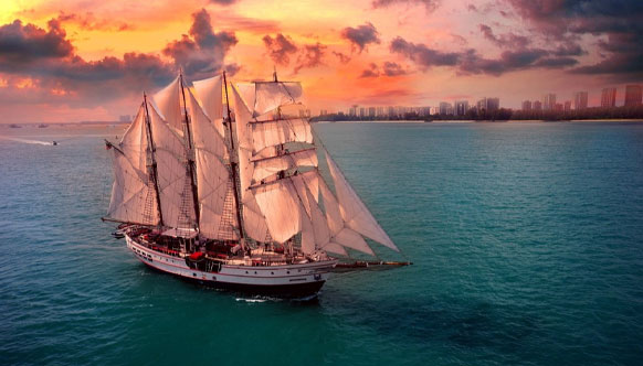 Sunset Dinner Cruise with Royal Albatross