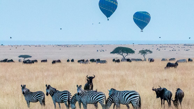 Mara North Conservancy