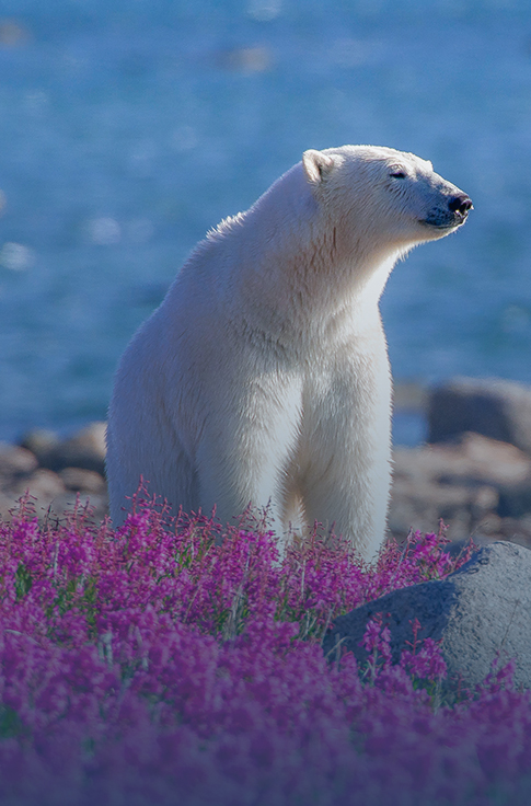 Canada's Unique Experiences