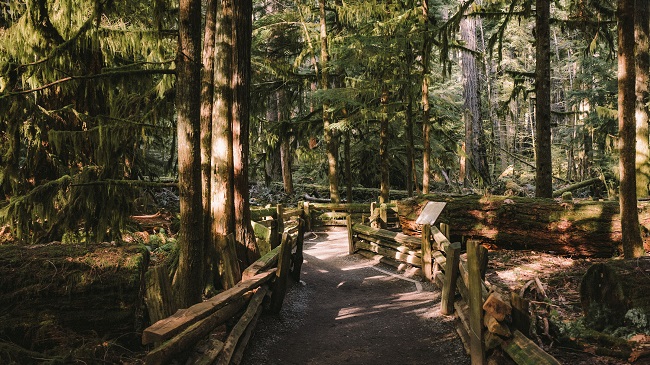 Campbell River → Tofino/Ucluelet