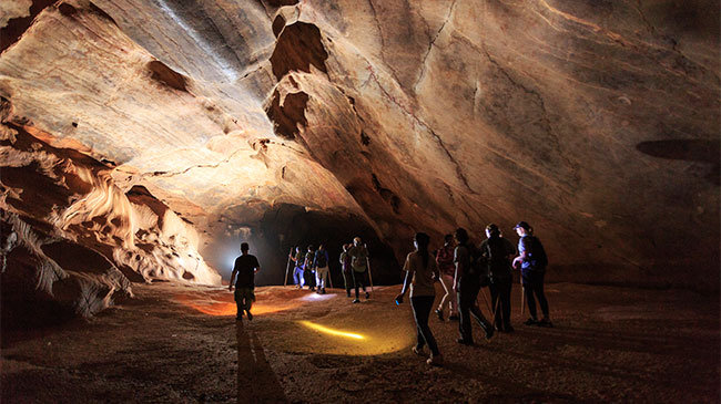 Morning Safari & Departure