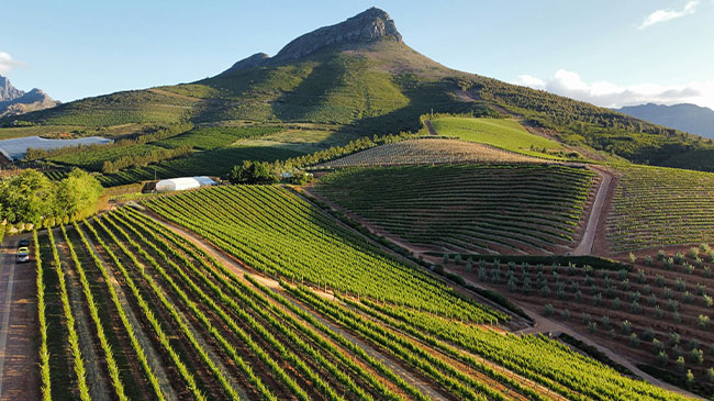 Cape Town → Cape Winelands