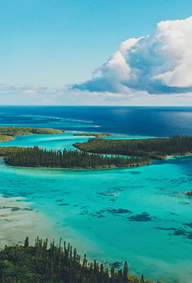 New Caledonia On sale