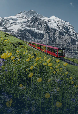 Swiss Travel