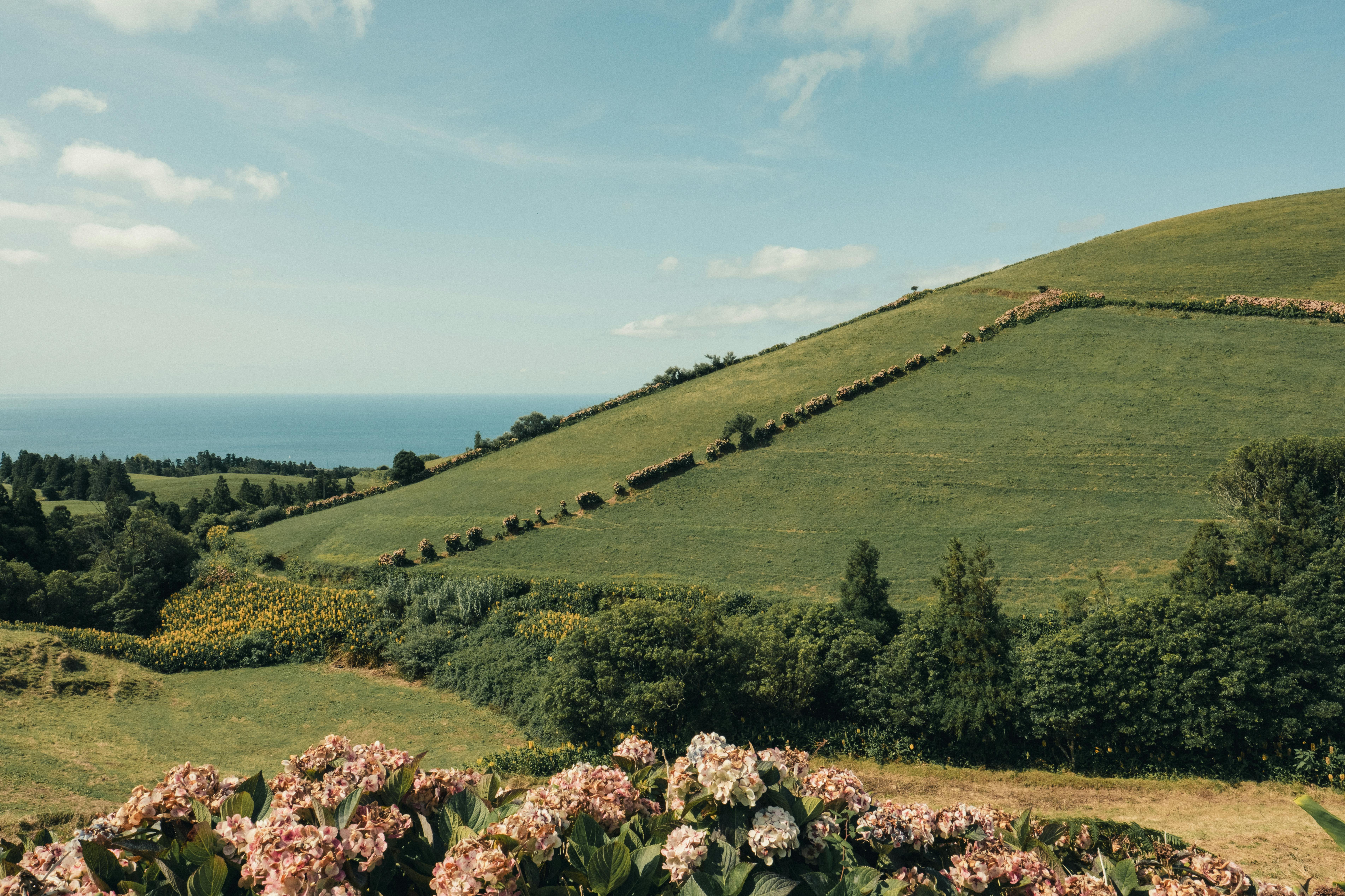 A sweeping hillside in the Azores overlooks the vast Atlantic Ocean, showcasing Portugal’s rugged natural beauty and tranquil charm.