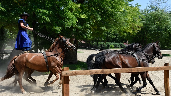 Kecskemet & Lajosmizse, Hungary