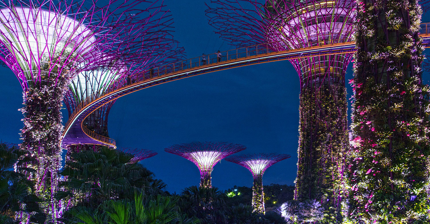 10 Fun Facts About Singapore | Entire Travel Group