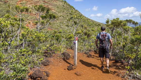 Hilton Moorea Lagoon Resort & Spa