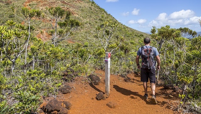 trip a deal new caledonia