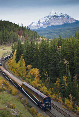 Rocky Mountaineer on Sale