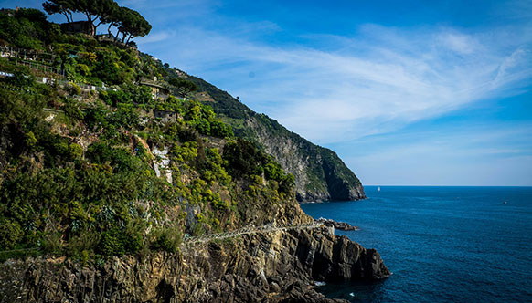 Private Wine Tour with box lunch - Cinque Terre
