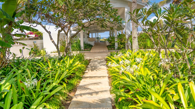 Vanuatu Airport → Tamanu on the Beach Resort & Spa