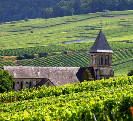 Chateaux & Champagne