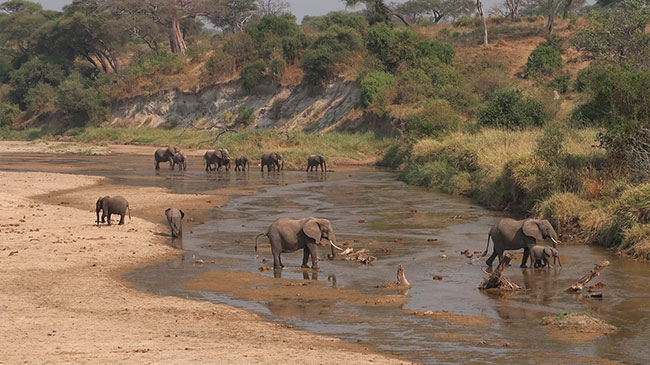 Tarangire National Park