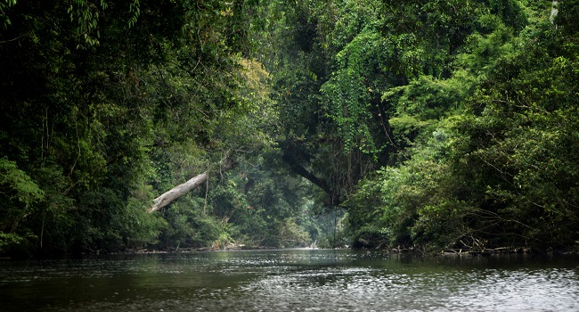 Taman Negara → Kuala Lumpur