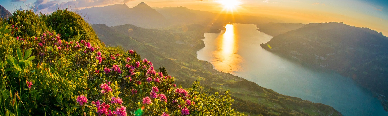 Hilton Moorea Lagoon Resort & Spa