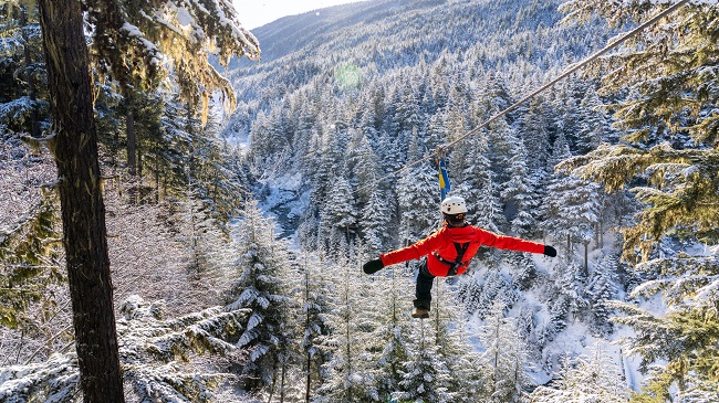 Whistler