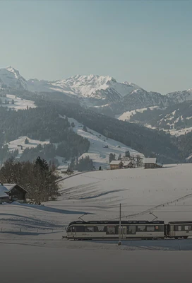 Swiss Winter Adventure