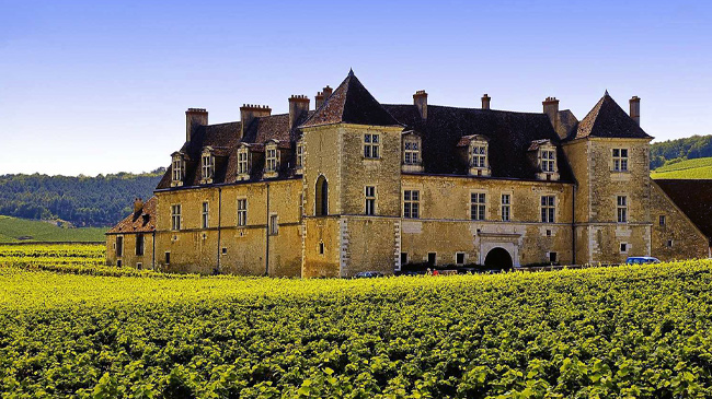 Beaune → Grands Crus roads → Nuits Saint Georges→ Vougeot → Beaune