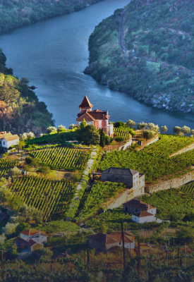 Wine tasting in the Douro