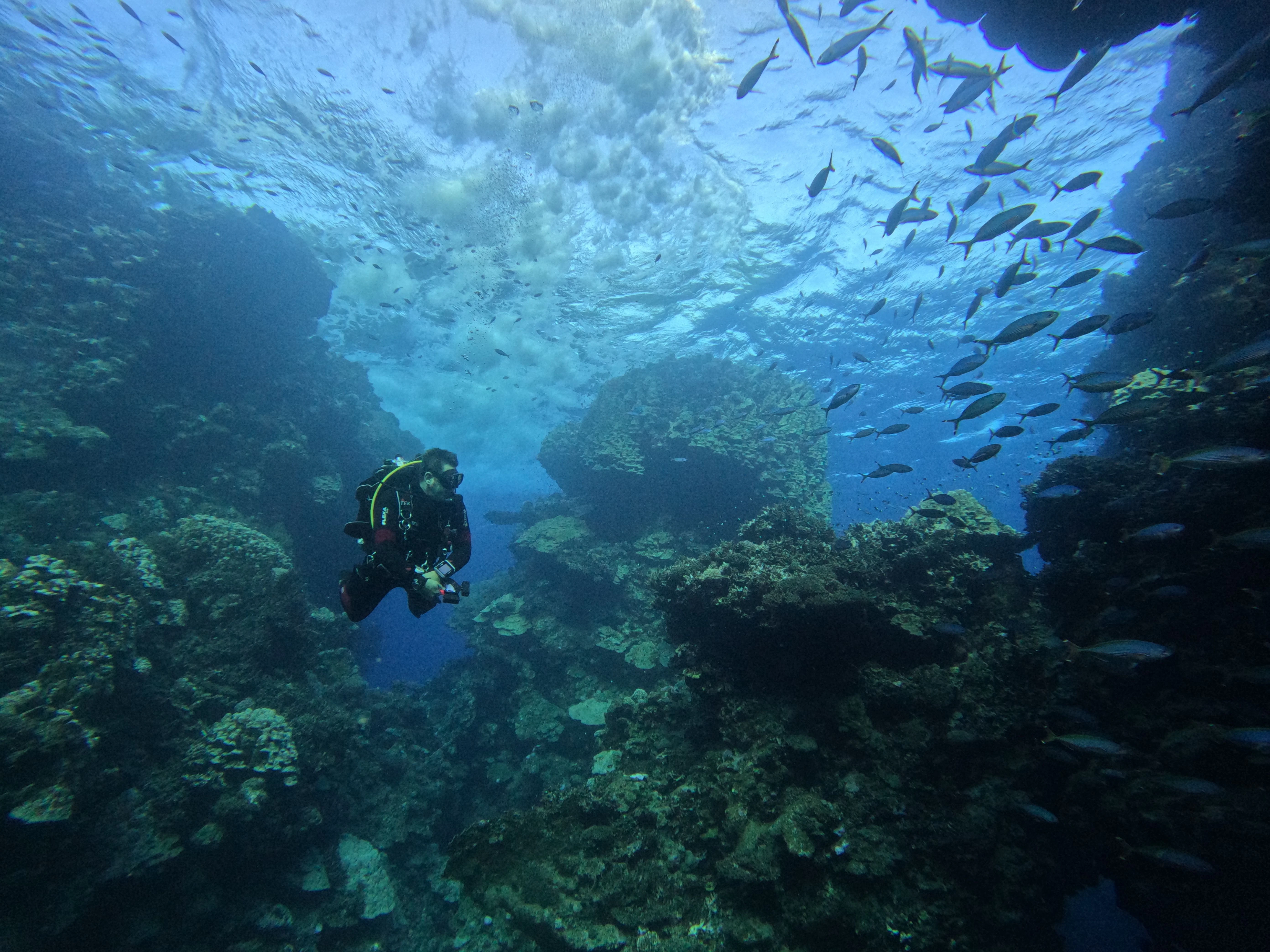 A scuba diver explores a vibrant coral reef, surrounded by colourful hard and soft corals, tropical fish and crystal-clear blue water 