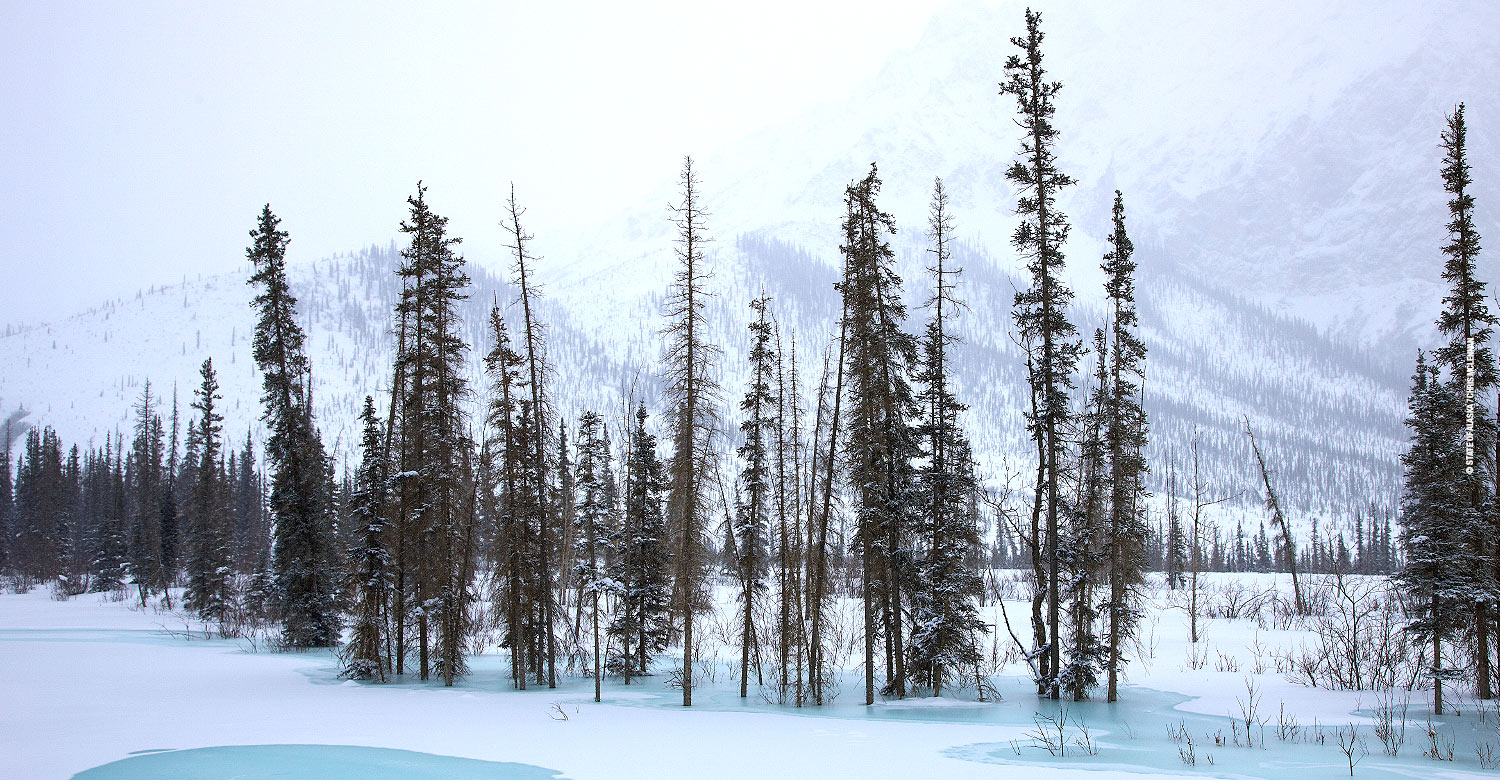 Winter in Dalton Highway, Alaska