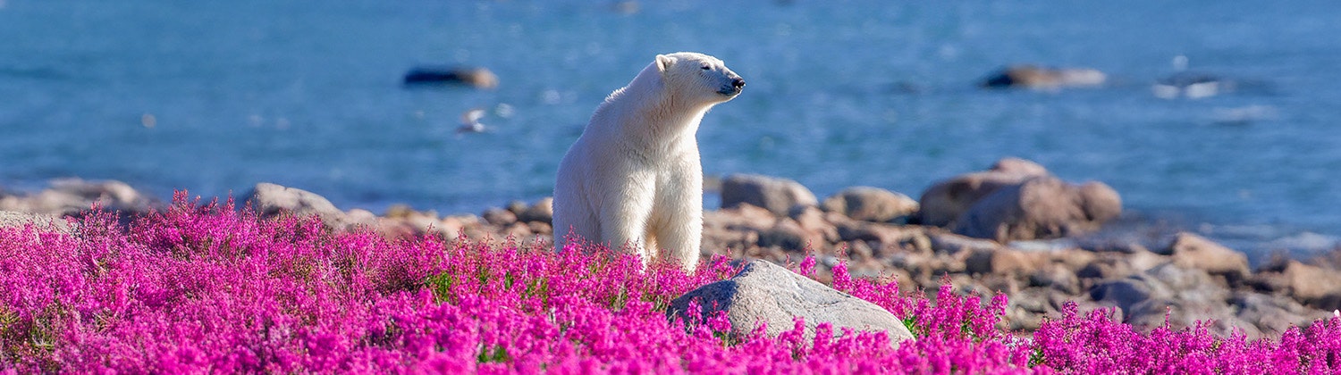 Hilton Moorea Lagoon Resort & Spa