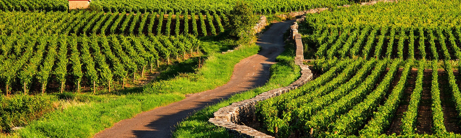 Hilton Moorea Lagoon Resort & Spa