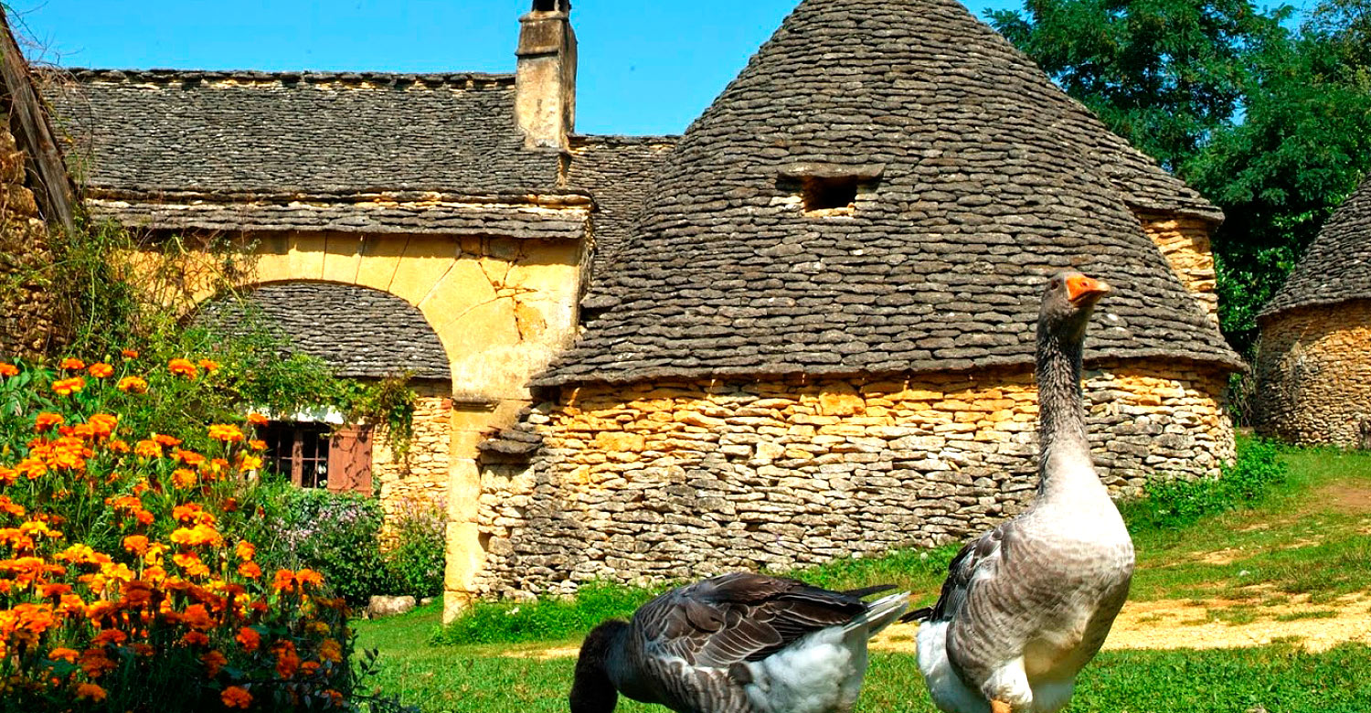 Experience countryside bliss in Dordogne region.