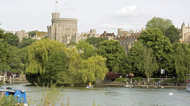 Hampton Court Palace → Shepperton