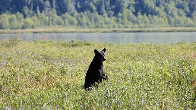 Anchorage