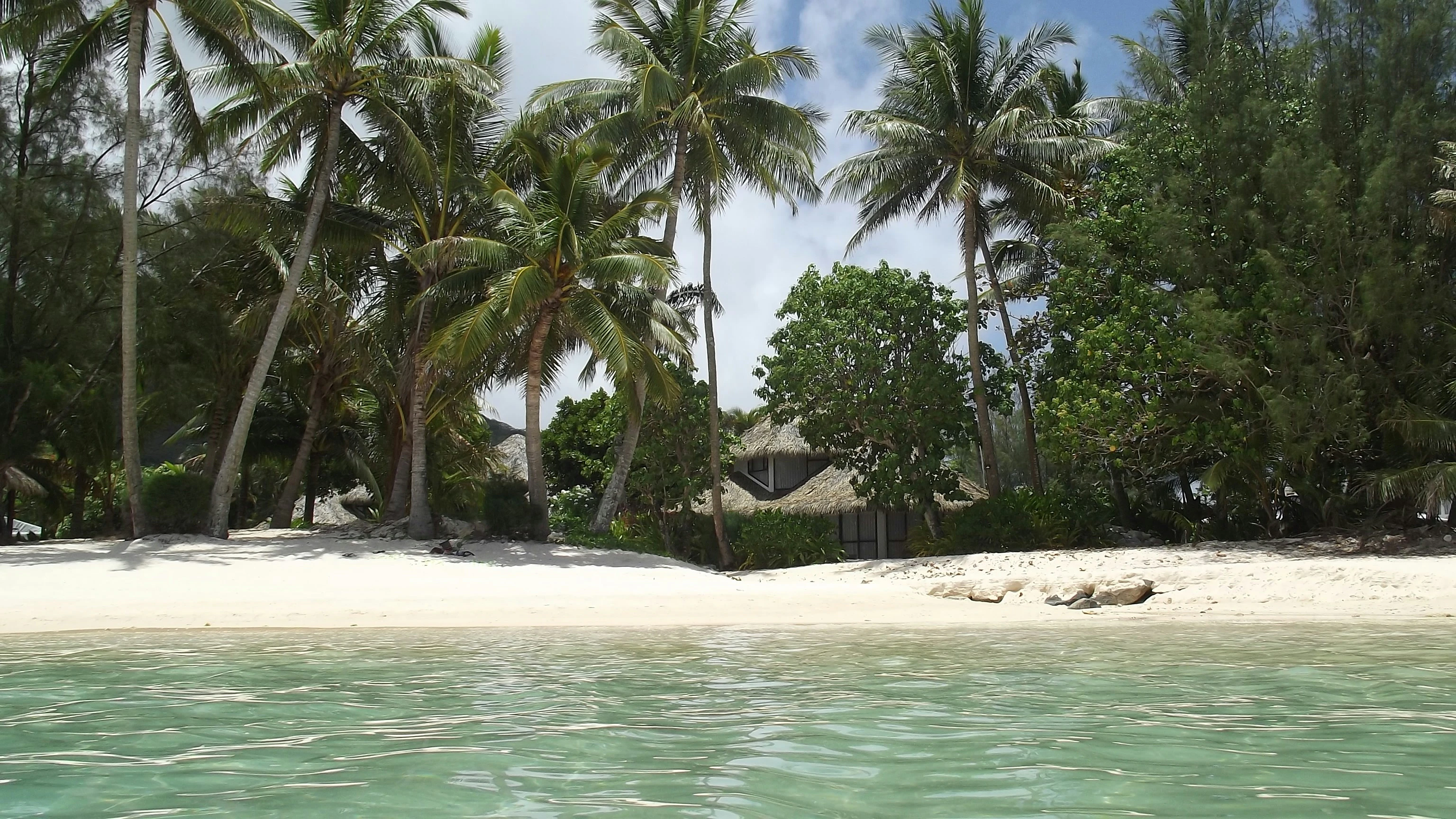 A tranquil tropical beach in the Cook Islands features swaying palm trees, a traditional beach hut and crystal-clear turquoise waters 