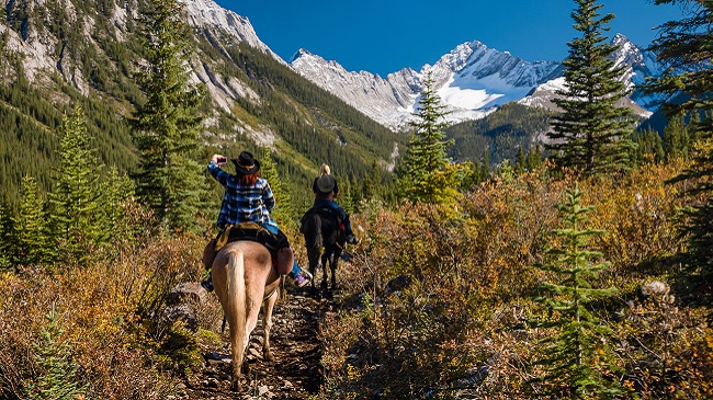 Backcountry Trail Riding