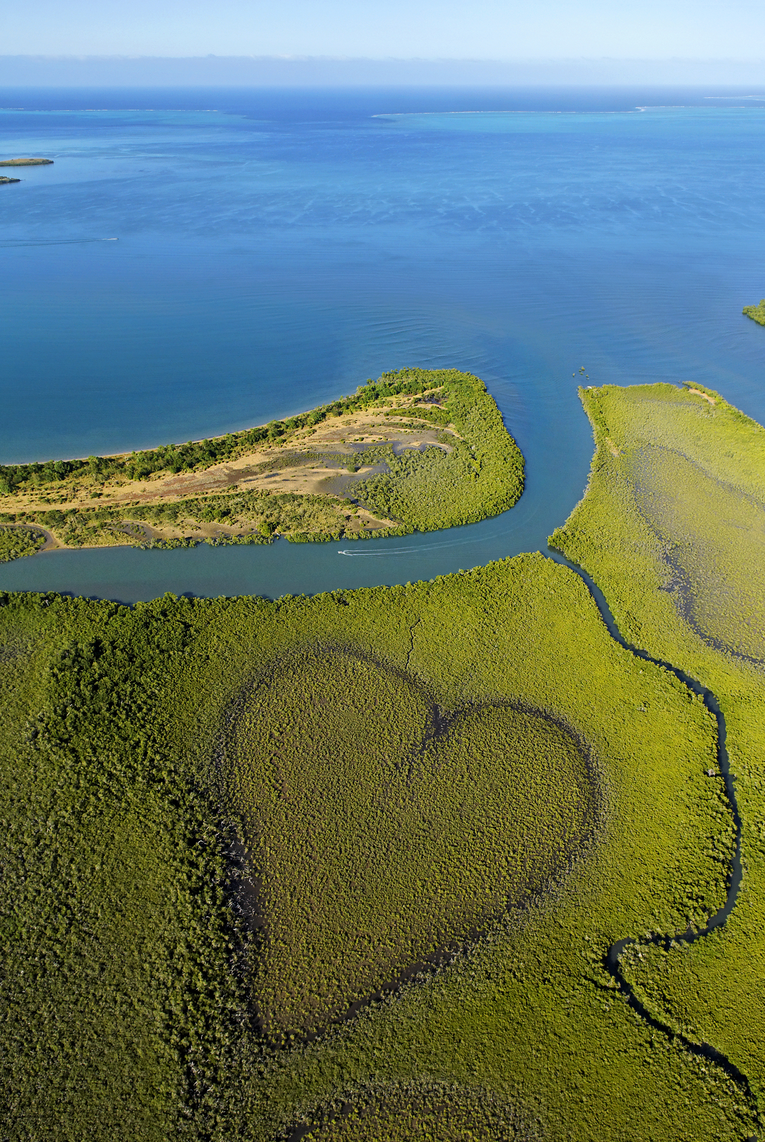 See the famous Heart of Voh from above
