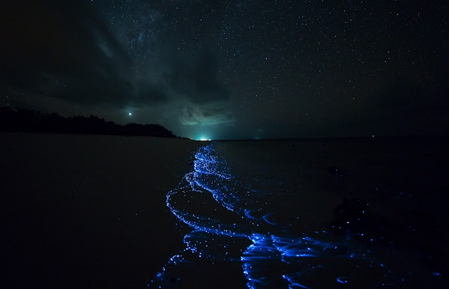 Bioluminescent beach