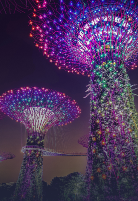 Gardens by the Bay lights