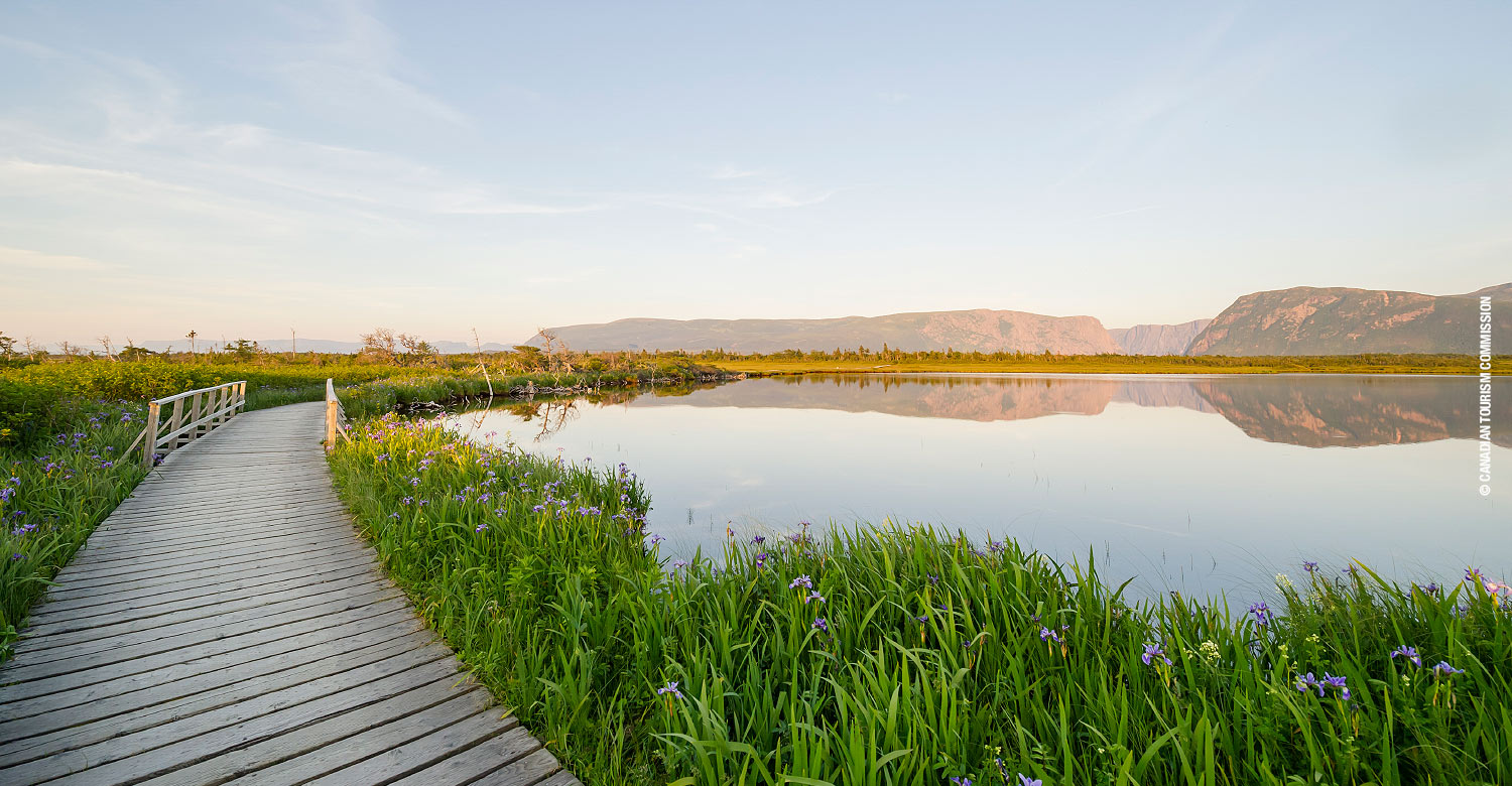 Boardwalk in Gros Morne National Park.