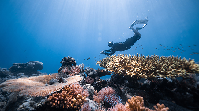 Four Seasons Explorer at Palau