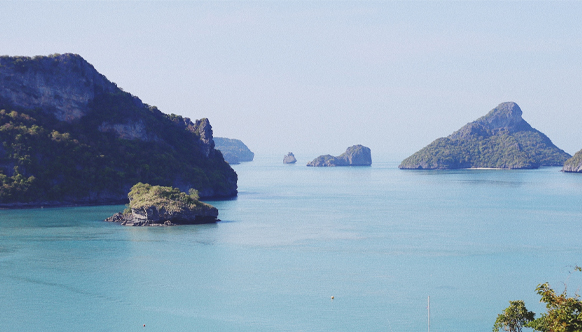 Phi Phi Island by Speedboat