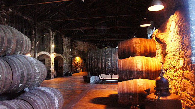 Coimbra → Aveiro → Porto