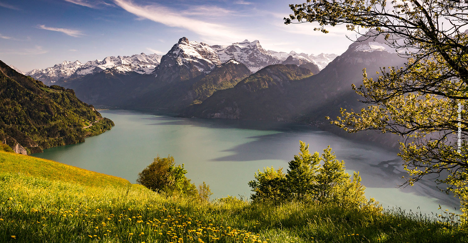 View of Lake Lucerne from Morschach.
