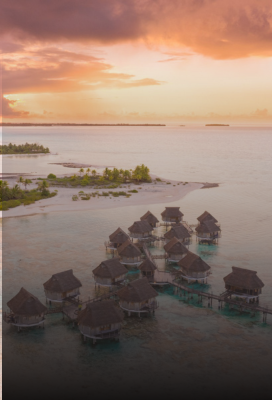 Tikehau Special Deal: Save 35%